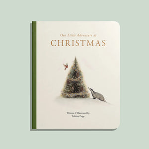 Our Little Adventures at Christmas