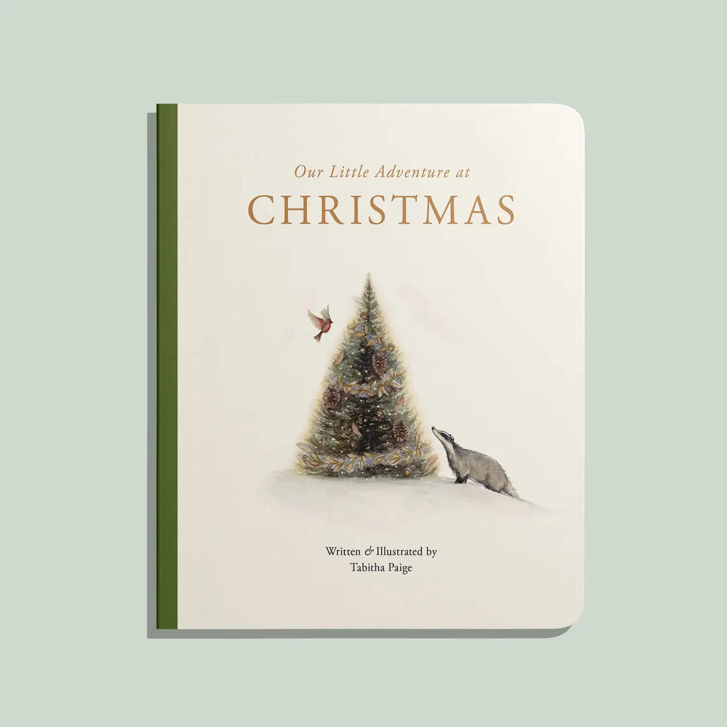 Our Little Adventures at Christmas