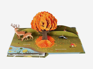 Leaves: An Autumn Pop-Up Book