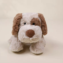 Dog Plush Toy