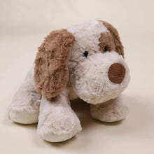 Dog Plush Toy