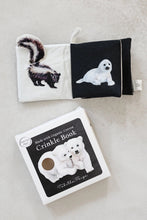 Crinkle Book