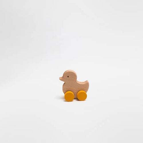 Rolling Duck | SABO Concept